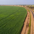 Un empresario revolucionó la producción de dos provincias y maneja 30.000 hectáreas