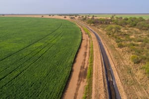 Un empresario revolucionó la producción de dos provincias y maneja 30.000 hectáreas