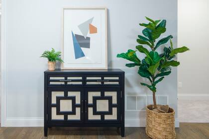 Agua, luz, temperatura y abono en sus medidas justas, son los elementos esenciales que hacen a la salud y vigorosidad de las plantas