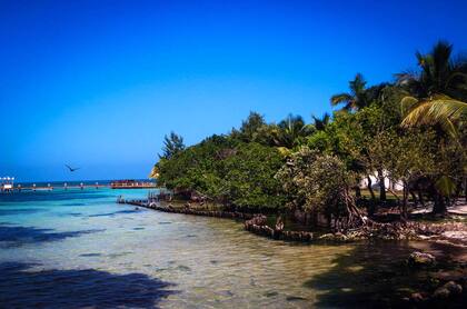 Aguas cristalinas y cielos azulísimos son marca registrada en Caye Caulker, Belice.