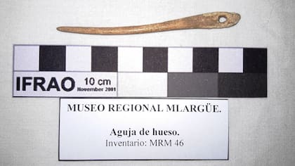 Agujas de hueso que pertenecían a la colección del histórico museo regional de Malargüe