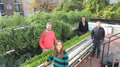 Agustín Casalins y el equipo de Verde al Cubo, en la terraza donde cultivan y dictan cursos sobre hidroponía