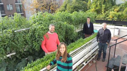 Agustín Casalins y el equipo de Verde al Cubo, en la terraza donde cultivan y dictan cursos sobre hidroponía