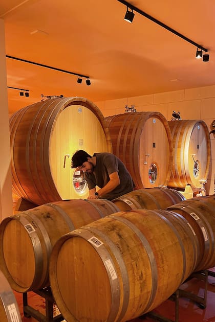 Agustín Silva en el Catena Institute of Wine