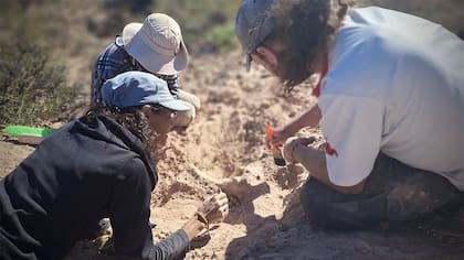 Agustina Lecuona, Mattia Baiano (becario posdoctoral del Conicet) y Facundo Riguetti realizando trabajos de campo para extraer el fósil. Foto: Nahuel Aldir