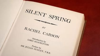 "Ahora habrá unos 350.000 compuestos químicos fabricados por la industria. En la época de Carson serían unos 30.000"