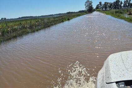 Ahora, incluso en distritos golpeados por lluvias, inundaciones y caminos rurales intransitables, como Carlos Casares, Pehuajó e Hipólito Yrigoyen, el voto se volcó hacia los libertarios; solo en Carlos Tejedor, triunfó el kirchnerismo