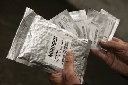Ahora, las semillas se conservan en bolsitas de aluminio al vacío.
