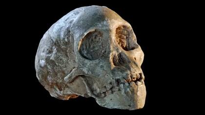 Ahora sabemos que tenía 3 o 4 años cuando murió atacado por un águila