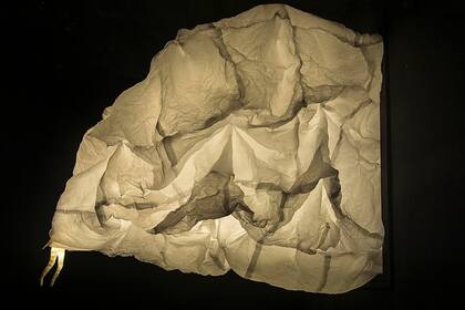 Aili Chen, Sin lugar para esconderse, 2017