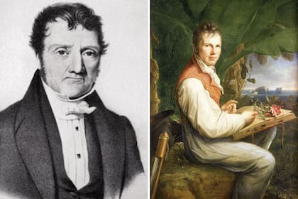 Aimé Bonpland (izquierda) y Alexander von Humboldt (derecha), dos botánicos célebres que emprendieron juntos expediciones naturalistas y dejaron una huella imborrable en el mundo de la botánica.