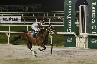 Latinoamericano. Cómo ver la carrera que enfrenta, sin público, a los mejores