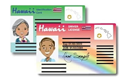 Al adquirir o renovar una licencia de conducir o una tarjeta de identificación, los residentes deben indicar si la tarjeta cumplirá con los requisitos federales de la Real ID