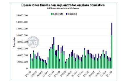 Al cierre del Programa de Incremento Exportador se operaron en el mercado doméstico y registros de ventas externas del complejo soja por más de 13 Mt