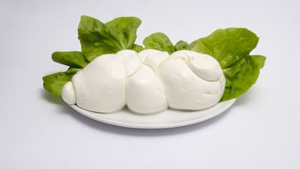 El queso recomendado por un cardiólogo que ayuda a adelgazar y protege al corazón 11 Al consumo de mozzarella se lo vincula inversamente con riesgos de afecciones graves