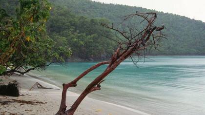 Al contrario que con Groenlandia, Dinamarca estuvo de acuerdo en venderle las islas a Estados Unidos.