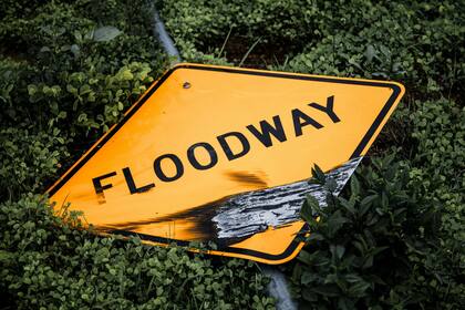 Al contrario que el resto de Estados Unidos, se registró un aumento de propietarios de Florida que adquirieron nuevas pólizas de seguro contra inundaciones tras la suba de precios