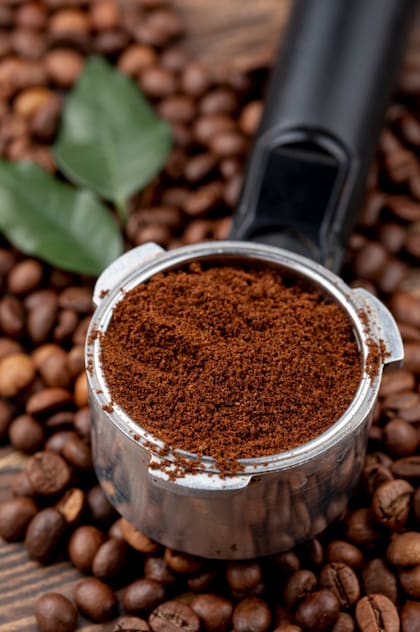 Al descomponerse, los posos de café liberan nutrientes como nitrógeno, potasio y fósforo, además de micronutrientes esenciales como boro, calcio, cobre, hierro, magnesio y zinc