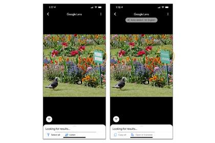 Al detectar texto en una foto, Google Lens puede copiar o traducir las palabras