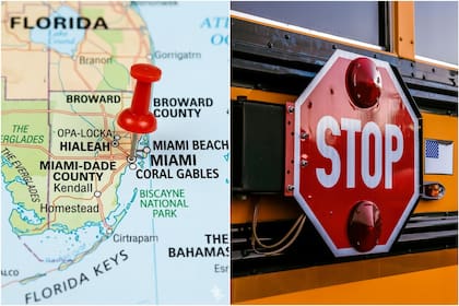 Al encontrarte con un autobús escolar en Florida, la regla fundamental es detenerse por completo siempre que el autobús muestre sus señales de parada (luces rojas intermitentes y brazo de "STOP" extendido)