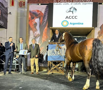 Al entregar la distinción Marca País, Diego Sucalesca, presidente de la Agencia de Inversiones y Comercio Internacional, que depende de la Secretaría General de la Presidencia, dijo: “Simplemente lo que hacemos es un acto de Justicia, de reconocimiento por todo lo hecho por la raza"