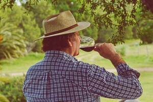 La ruta del vino bonaerense: cuatro increíbles viñedos para visitar en Buenos Aires
