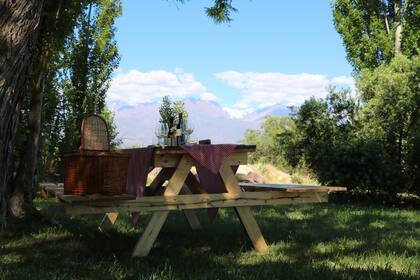 Al finalizar el tour se pueden recorrer las instalaciones y solicitar una degustación de vinos