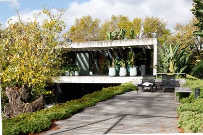 Al fondo, el piso superior de la casa está ocupado por la suite principal con su estar y vestidor. En perpendicular, vemos el techo semiverde del ala de los chicos (hoy universitarios).