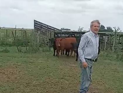 Al hacer el recuento en la manga, el faltante fue muy importante. Entre el lote, un toro puro de la raza Limousin, un novillo de 600 kilos que Rosa lo había criado de guacho, una vaca de 600 kilos y el resto eran novillitos y vaquillonas de entre 250 y 280 kilos