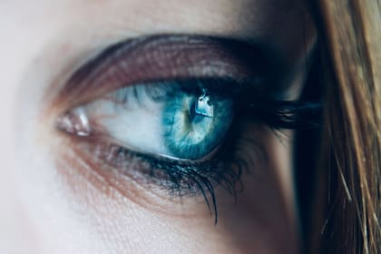 Al hacer los escáneres de retina, el ICE y el DHS tienen acceso a cinco millones de registros biométricos