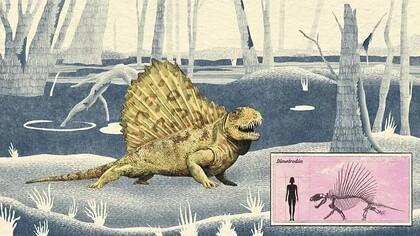 Al igual que otros sinápsidos tempranos, el Dimetrodon habría tenido un andar extendido que recordaba al de los cocodrilos