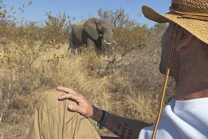 Al igual que su mujer, Diego Simeone posa desde el jeep mientras divisa un elefante.