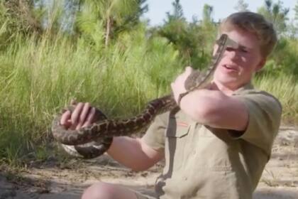 Al igual que su padre años antes, Robert fue mordido por una serpiente