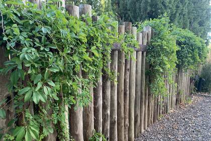 Al incorporar madera rústica en el diseño de jardines, se logra una estética que remite a la vida campestre, perfecta para quienes buscan un refugio de paz y tranquilidad