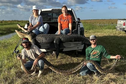 Al lograr capturarla, el grupo se tomó fotos con el enorme ejemplar de pitón