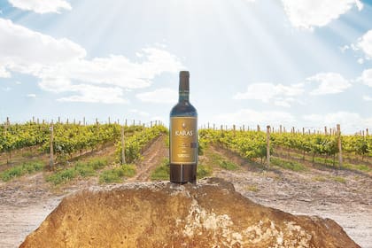 Al mando de Eurnekian Family Wine Estates, Juliana disfruta de dirigir esta unidad de negocio, porque además del gran desarrollo y del éxito comercial que ha logrado, sabe que toda la historia familiar está presente cada vez que se descorcha y se comparte una botella de vino