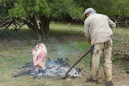 Al mediodía, almorzaron un costillar de cordero