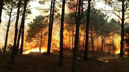 Al menos 10 dotaciones de bomberos trabajan para apagar el incendio