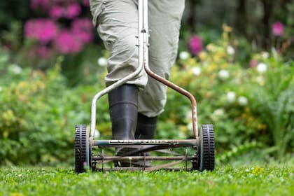 Al momento de cortar el césped es recomendable ver su crecimiento real en lugar de seguir un calendario fijo de corte