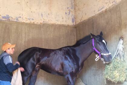 Al momento de la comida y la limpieza, Joaquín Cano trabaja en el box junto a Colifato Novo