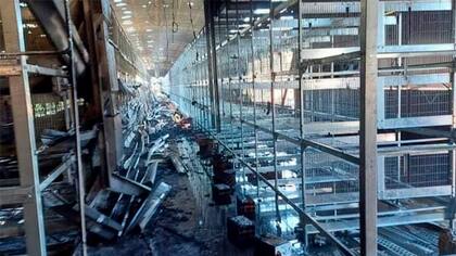 Al momento del hecho los propietarios no estaban dentro del lugar. Once