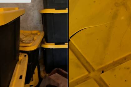 Al observar en detalle los productos que se intentaba devolver, la comunidad reafirmó su postura en apoyo a la decisión de la cadena. (TikTok)