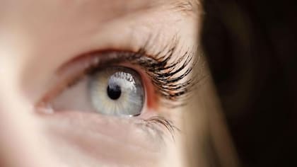 Al observar una escena, nuestros ojos se mueven repetidamente para que diferentes partes del entorno se proyecten en una pequeña área de alta resolución.