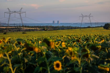 Al otro lado del río Dniéper, la central nuclear de Zaporiyia puede verse desde los campos en el territorio controlado por Ucrania cerca de Nikopol el 29 de julio de 2022.