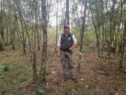 Al Parque Nacional Baritú se ingresa por Bolivia