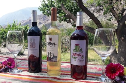 Al pie de los cerros, en la Quebrada de Humahuaca, se originan los vinos de la Bodega Don Milagro que representaron a Jujuy en la Slow Wine Fair