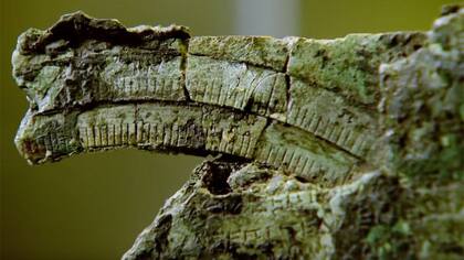 Al principio, el artefacto no les decía nada a los científicos, pero luego notaron que tenía marcas e inscripciones