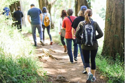 Al principio los instructores sugieren minimizar las distracciones y concentrarse plenamente en la respiración y su sincronización con el ritmo de la caminata