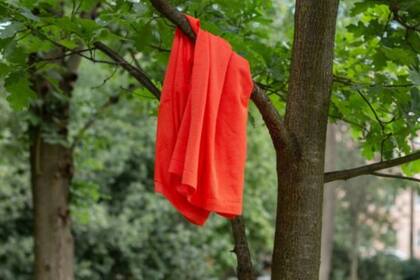 Al saber quién era el dueño de la camiseta colgada, fueron descubriendo dónde estaba cada quien