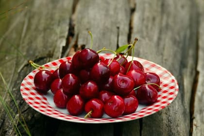 Al triturarse esos carozos, sueltan una sustancia que es ácido prúsico, también conocido como cianuro de hidrógeno, que también es venenoso (Foto Pexels)